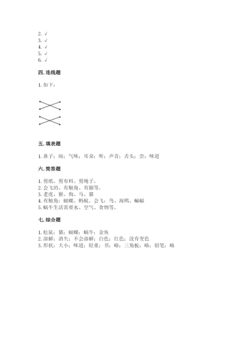 教科版一年级下册科学期末测试卷【夺冠系列】.docx