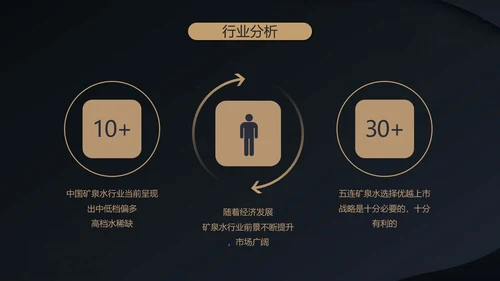 高端融资产品PPT计划书