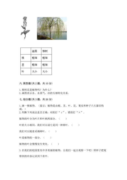 教科版科学一年级上册第一单元《植物》测试卷及参考答案【突破训练】.docx