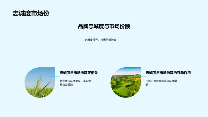 农业品牌成长之道