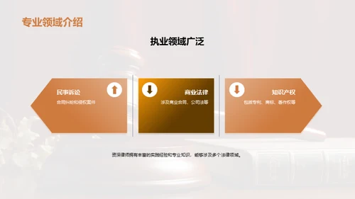 法律行业专业演讲：法律实务分享