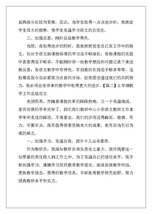 上学期教学工作总结范文