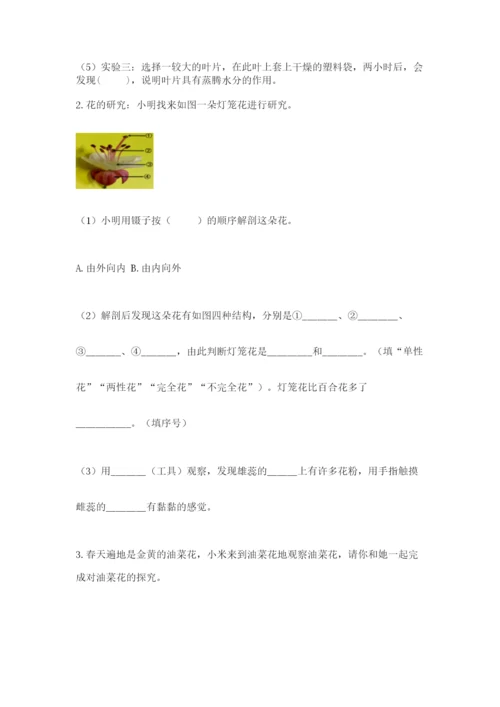科学四年级下册第一单元植物的生长变化测试卷完整版.docx