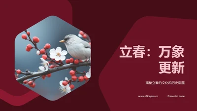 立春：万象更新