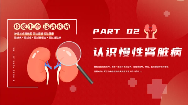 世界肾脏日慢性肾脏病通用PPT模板