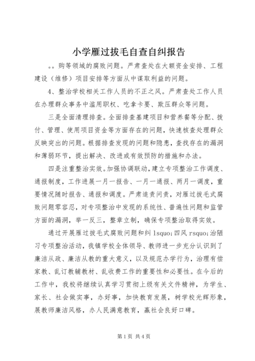 小学雁过拔毛自查自纠报告.docx