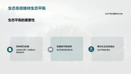 生态守护：我们的责任