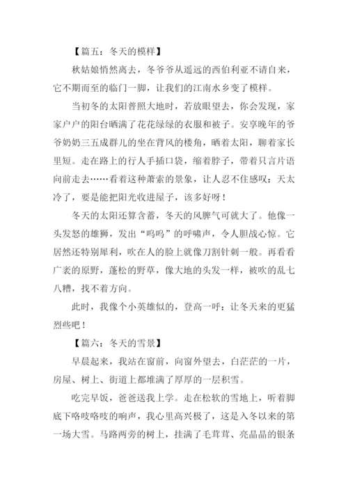 冬景作文300字0.docx