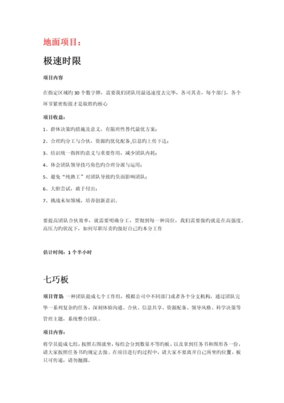 史威夫室内拓展项目大全.docx