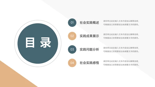 双色极简大气社会实践报告PPT模板
