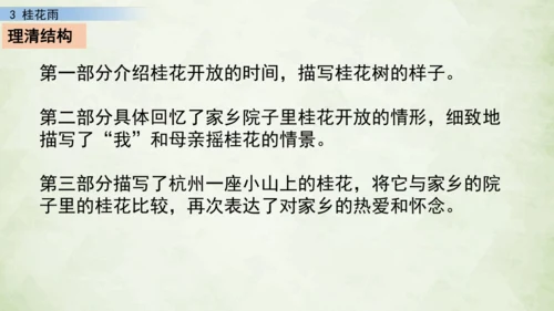 3 桂花雨     课件