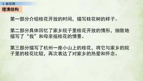 3 桂花雨     课件