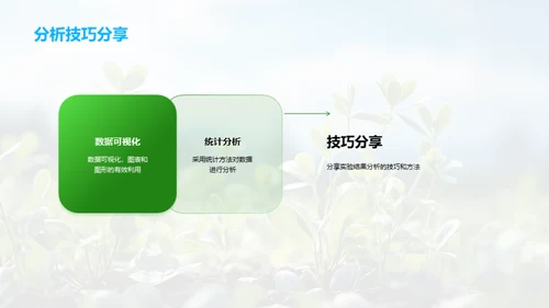 农学实验全方位解析