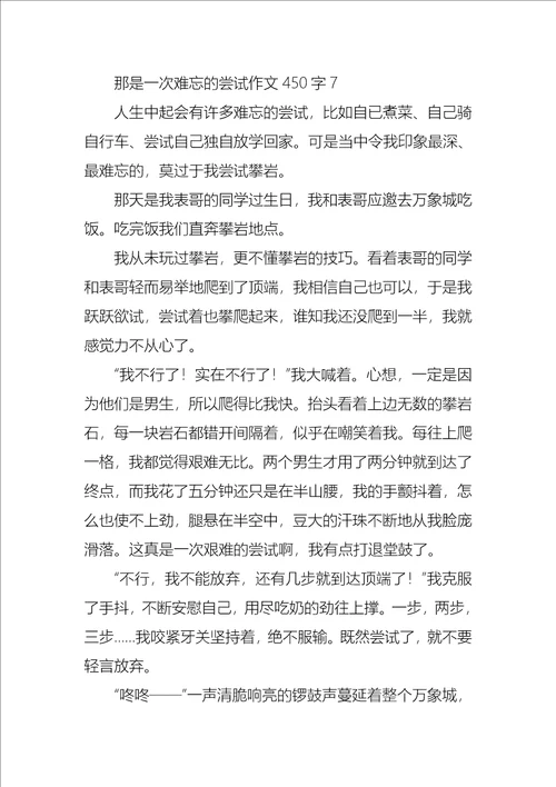 那是一次难忘的尝试作文450字