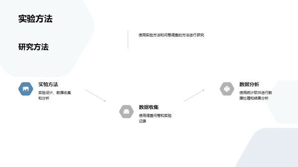 科研探索：踏上求知之旅