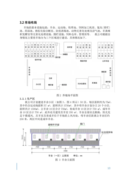 肉羊养殖项目评估报告.docx