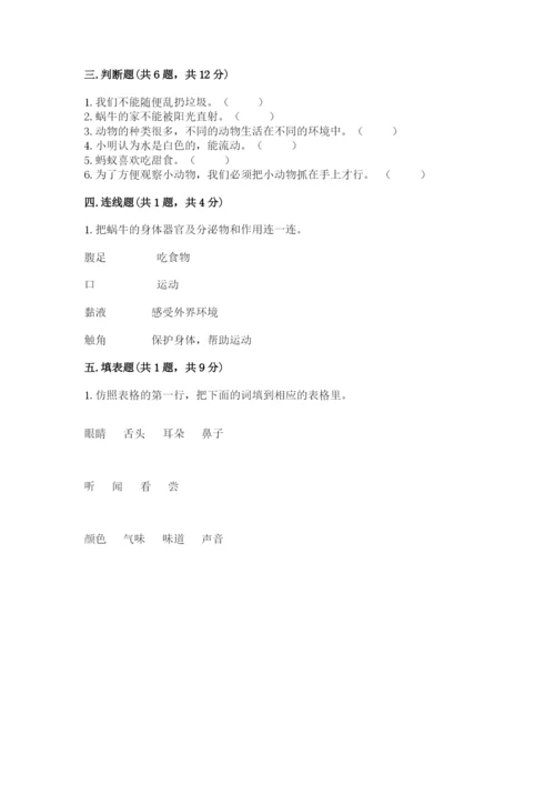 教科版一年级下册科学期末测试卷及参考答案（培优b卷）.docx
