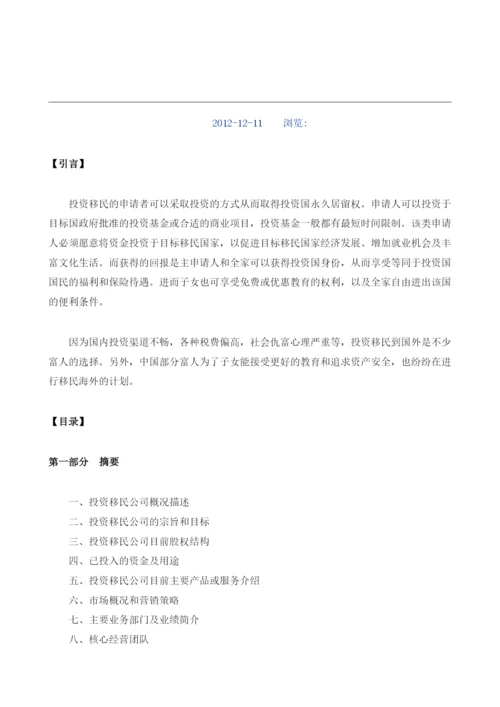 投资移民商业计划书模板.docx