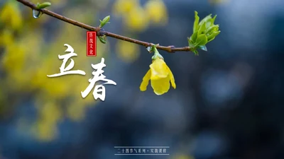 立春简约风二十四节气实践教学课件通用PPT模板