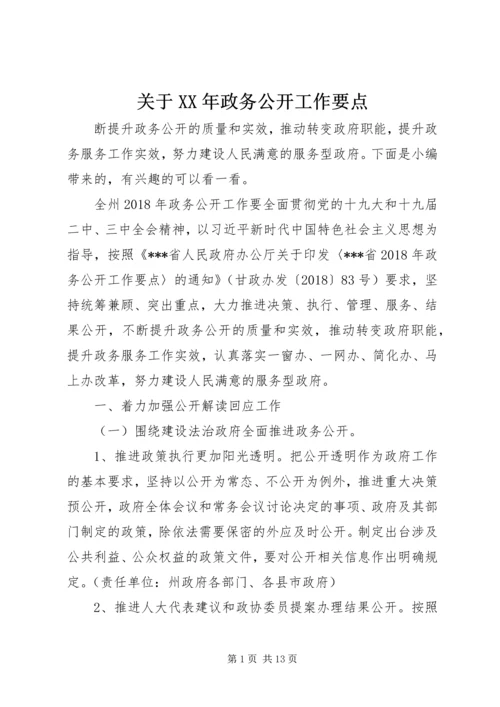 关于XX年政务公开工作要点.docx