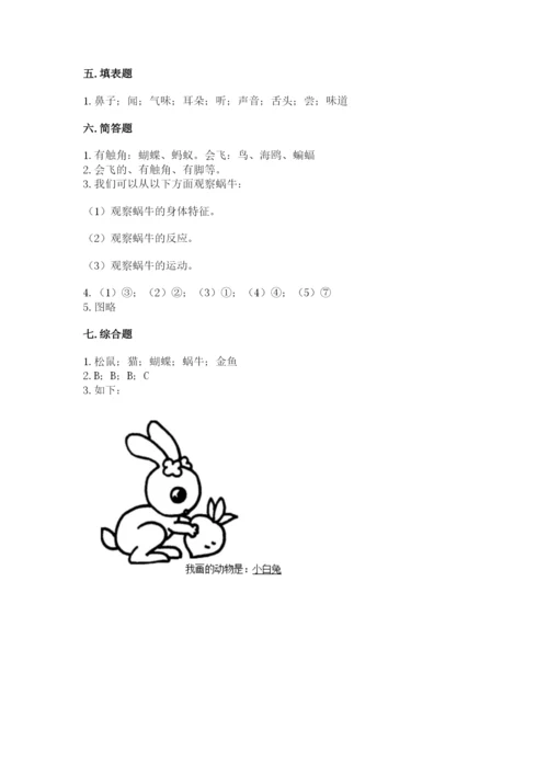 教科版小学科学一年级下册期末测试卷带答案.docx