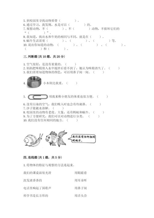 教科版一年级下册科学期末测试卷精品（名师系列）.docx