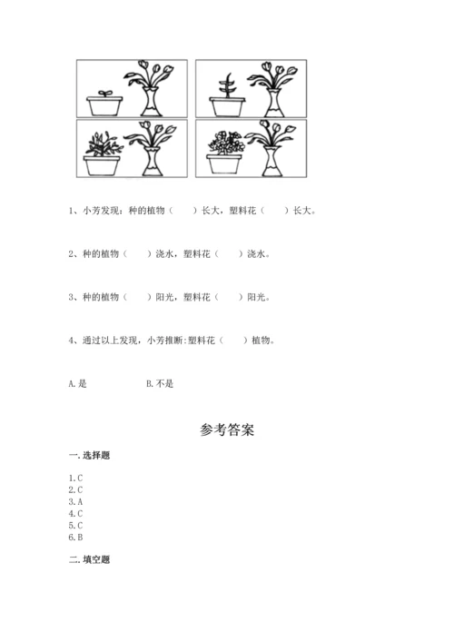 教科版科学一年级上册第一单元《植物》测试卷【全优】.docx