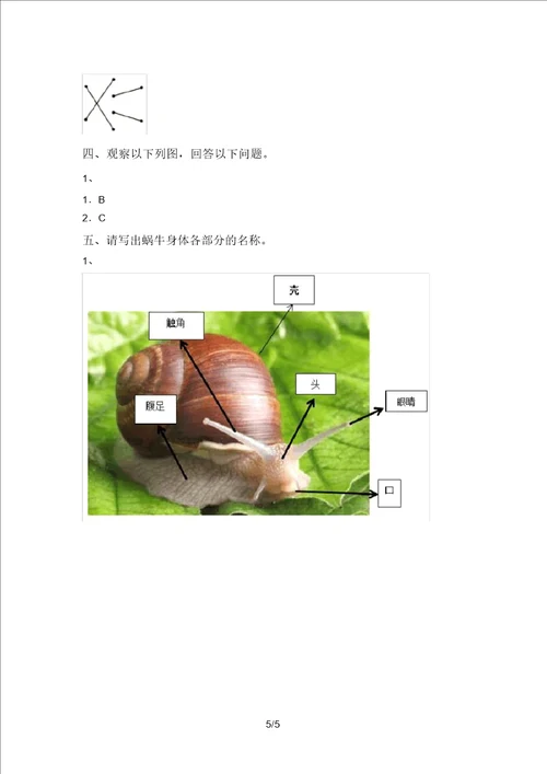 湘教版一年级科学上册期末试题及答案新版