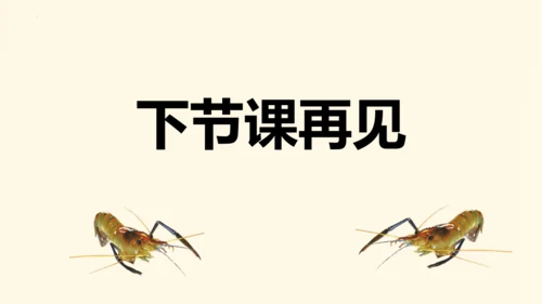 第15课《小虾》（教学课件）