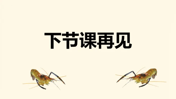 第15课《小虾》（教学课件）
