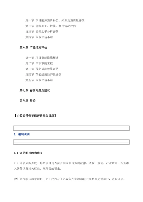 少胶云母带项目节能评估报告模板.docx