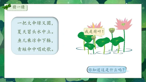 【核心素养】部编版语文一年级下册-12. 荷叶圆圆 第1课时（课件）