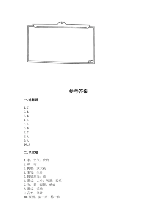 教科版一年级下册科学期末测试卷精品（全优）.docx