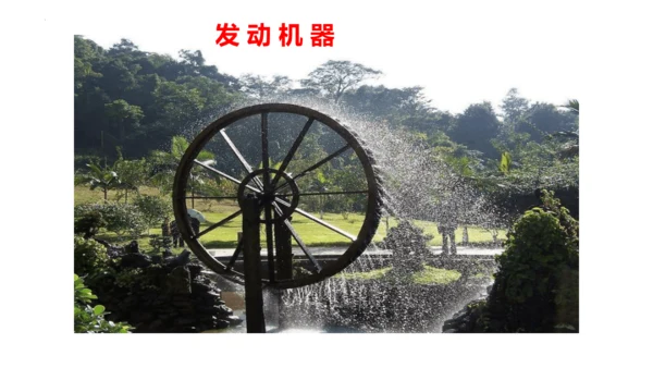 2《我是什么》  课件