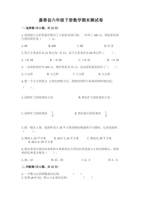 嘉善县六年级下册数学期末测试卷1套.docx