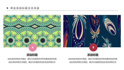 少数民族传统文化民族民俗民族政策PPT模板