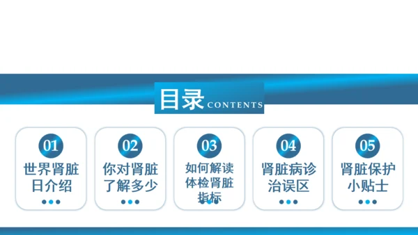 世界肾脏日肾病通用PPT课件医疗服务模板