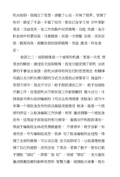 在司法部挂职锻炼工作总结座谈会上的发言