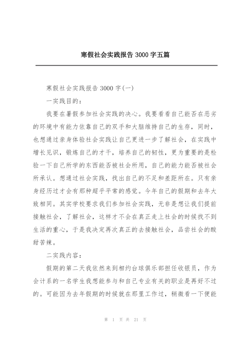 寒假社会实践报告3000字五篇.docx