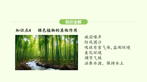 第三单元-第二章-第四节-植物在自然界中的作用课件-2024-2025学年七年级生物下学期人教版(2