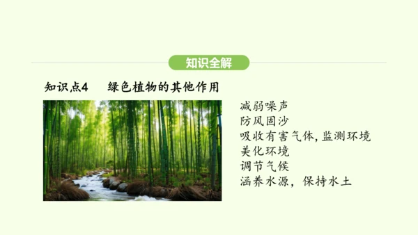 第三单元-第二章-第四节-植物在自然界中的作用课件-2024-2025学年七年级生物下学期人教版(2