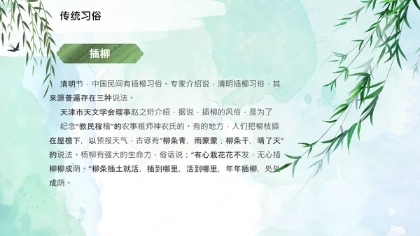清明节起源习俗文化介绍通用PPT模板