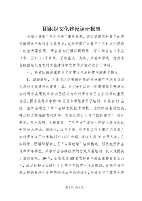 团组织文化建设调研报告.docx