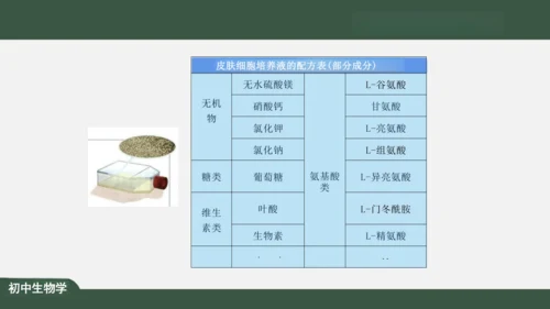 2.1.4  细胞的生活 课件（共26张PPT）