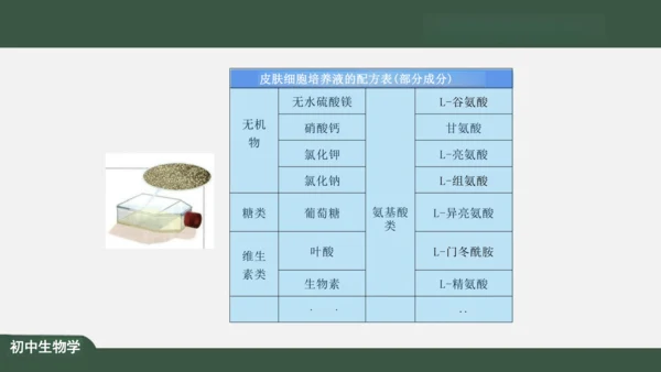 2.1.4  细胞的生活 课件（共26张PPT）