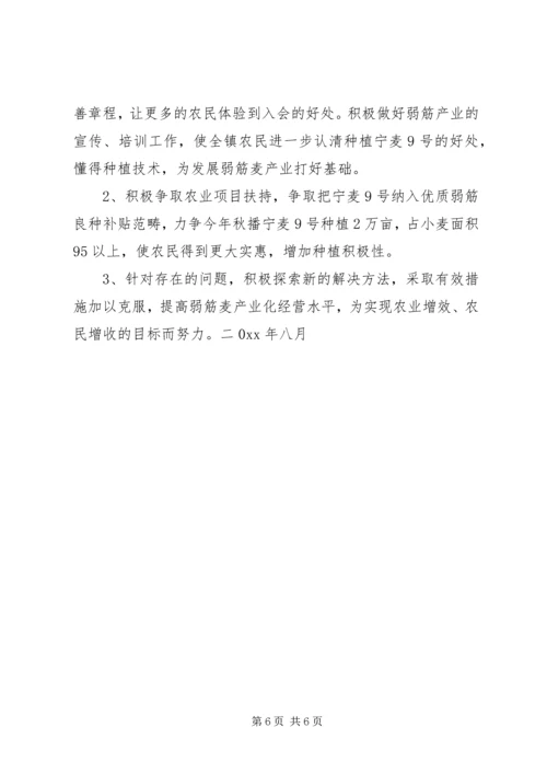 发展弱筋麦产业促进农业增收增效 (3).docx