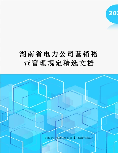 湖南省电力公司营销稽查管理规定精选文档