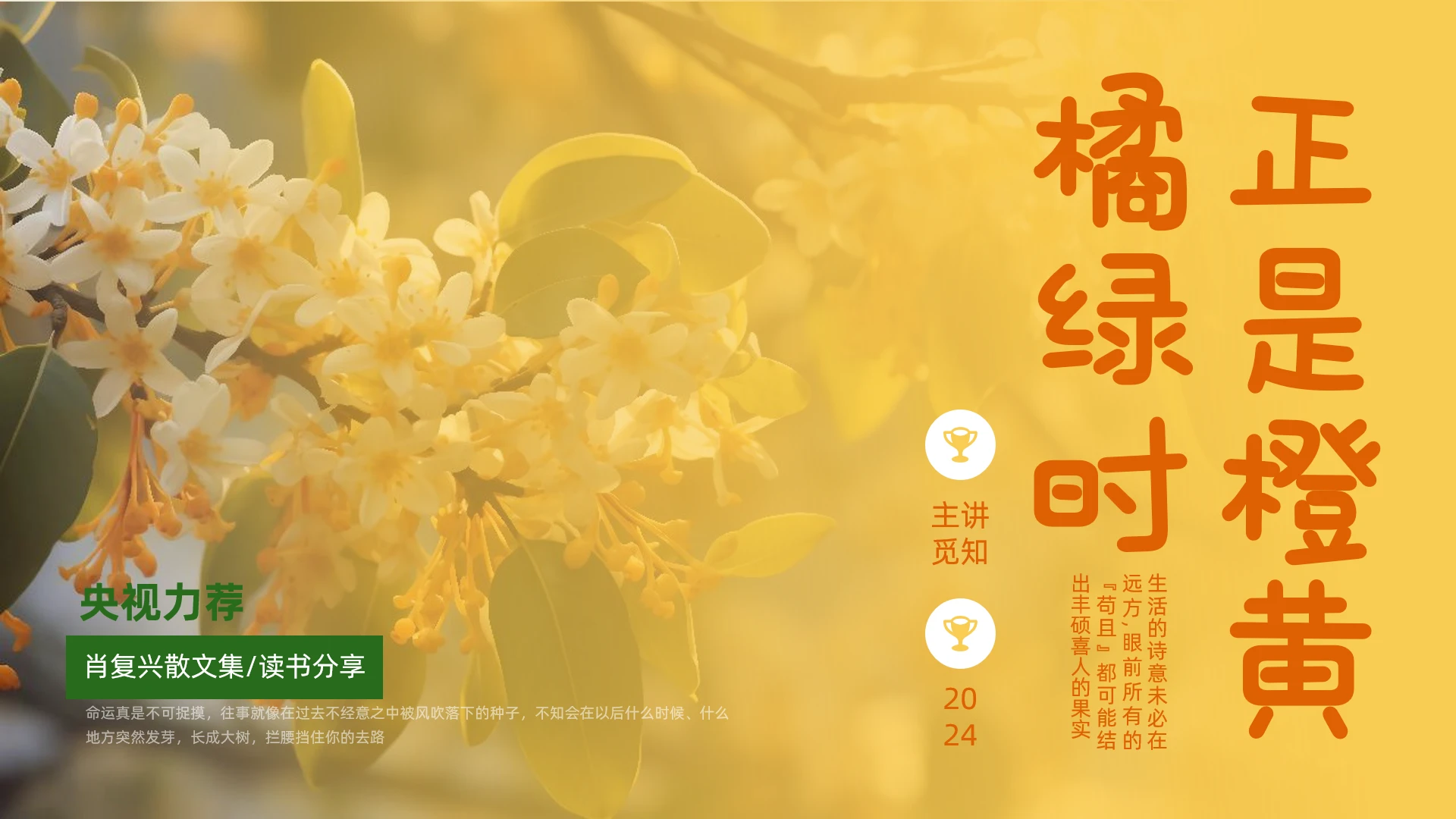 黄色橙色实拍风正是橙黄橘绿时读书分享肖复兴散文集PPT课件
