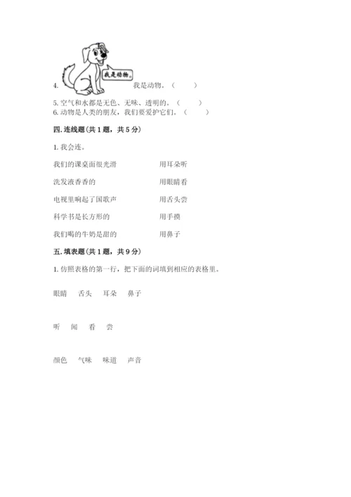 教科版小学科学一年级下册期末测试卷及参考答案【综合题】.docx
