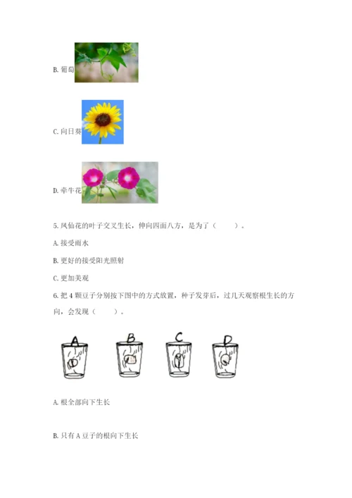 科学四年级下册第一单元《植物的生长变化》测试卷【综合题】.docx